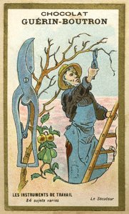 Werbe-Chromolithographie von Guerin Boutron Schokoladen, Arbeitsinstrumente, 84 verschiedene Motive, Baumschere