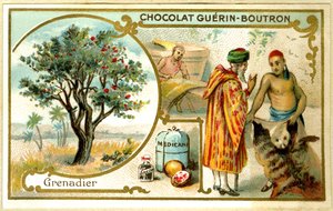 Werbe-Chromolithographie von Guérin Boutron Schokoladen