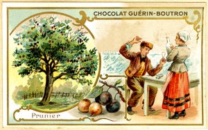 Werbe-Chromolithographie von Guérin Boutron Schokoladen