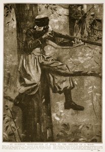 Ein algerischer Scharfschütze bei der Arbeit im Schutz eines Waldes, 1914-19 von French School