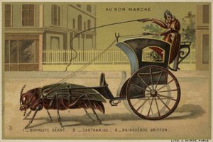 Au Bon Marché-Karten mit anthropomorphen Insekten von French School