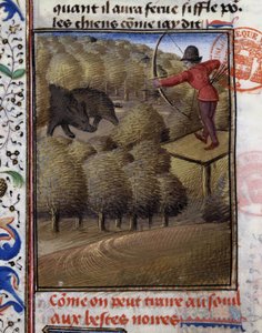 Wildschweinjagd mit dem Bogen - in „Jagd Buch von Gaston Phoebus, Graf von Foix, Herr von Béarn“