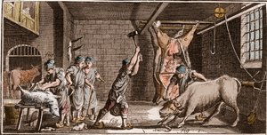 Metzger - Metzgerei - „Die Große Enzyklopädie, oder Dictionnaire Raisonne des Sciences, des Arts et des Metiers“ von Denis Diderot und Jean d