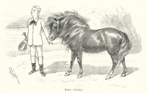 Junge mit einem irischen Pony (Gravur) von French School