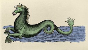 Cheval marin in „De Aquatilibus“
