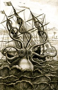 Kolossaler Oktopus, um 1802 (Gravur)