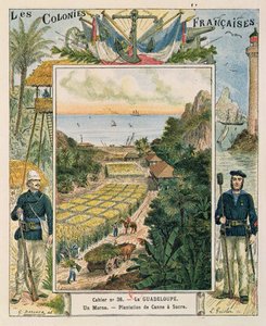 Deckblatt eines Schulheftes, das eine Zuckerrohrplantage in Guadeloupe darstellt, 1892 von French School