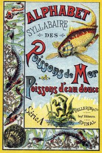 Umschlag von "Syllabary alphabet of marine and freshwater fish" von French School