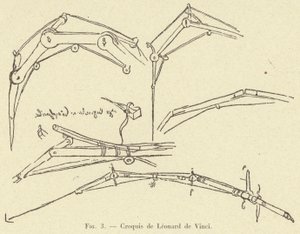 Skizzen von Leonardo da Vinci von French School