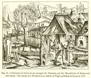 Getreideanbau bei den Bauern und Herstellung von Gersten- und Haferbrot