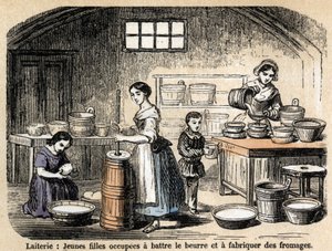 Beschreibung der verschiedenen Berufe und Schafprodukte: junge Milchbauern stellen Butter und Käse in einer Molkerei her. Tafel „Die Schafe“ in „Les Recreations instructives“. Synoptisches Gemälde von Jules Delbruck, Gravur von 1860. von French School