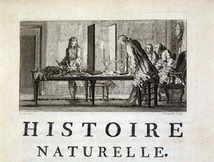 Dissektion der Tiere - in „Histoire naturelle, générale et particulière“ von Buffon von French School