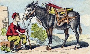 Esel. Gravur in "Buffon Alphabet des Animaux"