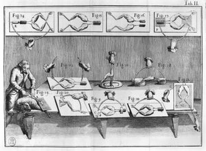 Experiment an Fröschen, Illustration aus De viribus electricitatis in motu muscumari von French School