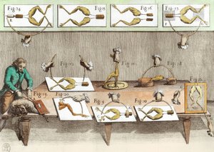 Experiment an Fröschen, Illustration aus De viribus electricitatis in motu muscumari (spätere Kolorierung) von French School