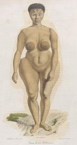 Frau der Bochismann-Rasse. Dieses Bild zeigt offenbar Sara (Saartjie) Baartman (1789-1815), eine Khoisan, die aus Südafrika nach Piccadilly gebracht wurde, um als 