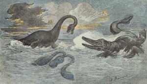 Kampf zwischen einem Plesiosaurus und einem Ichthyosaurus in der Lias- oder Jurazeit, 1880