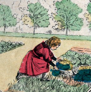 Französischer Glaube: Ein kleines Mädchen, das glaubt, dass Babys in Kohl oder Rosen geboren werden, schneidet die Sprossen eines Gemüsegartens ab - Epinal-Bild - 19. Jahrhundert (Gravur) von French School