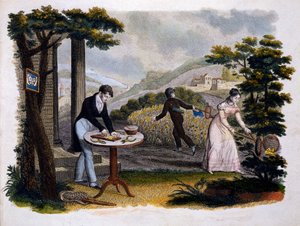 Frontispiz aus Les Papillons... von Eugene Balland, veröffentlicht von P. Blanchard, Lecerf, Paris, 1823
