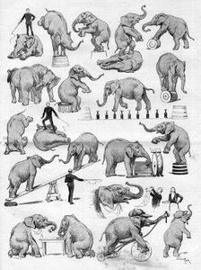 Geo Lockarts Zirkus, berühmt für seine Elefanten, im Hippodrom von Paris, in „Die Illustrierte Welt“ von French School