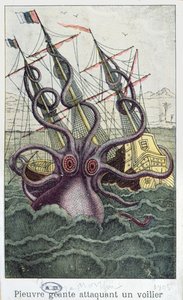 Riesiger Oktopus, Illustration aus LHistoire Naturelle Generale et Particuliere des Mollusques von Denys-Montfort, ca. 1802-03