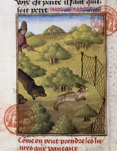 Hasenjagd - in „Jagd Buch von Gaston Phoebus, Graf von Foix, Herr von Béarn“ von French School