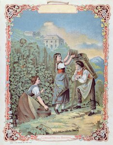 Trauben ernten, aus einem Kalender, ca. 1880