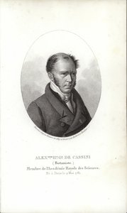 Henri Cassini von French School
