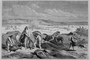 Jagd auf Guanako und Nandu in Argentinien von French School