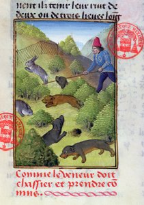 Kaninchenjagd mit Hunden und Netzen, aus dem Livre de la Chasse von Gaston Phebus, frühes 15. Jahrhundert