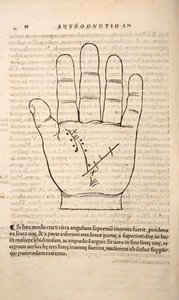 Illustration aus Chiromantia von Joannes Indagioe, Straßburg, 1531 von French School