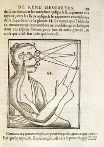 Illustration aus De Homine Figuris von Rene Descartes, veröffentlicht in Den Haag, 1662 von French School