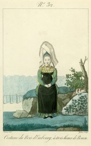 Illustration Nr. 32, Kostüm des Bois d