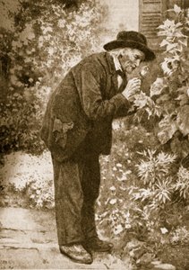 Jean-Henri Fabre beobachtet Insekten