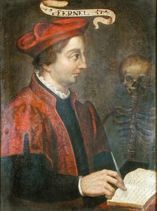 Jean Fernel (ca. 1497-1558) von French School