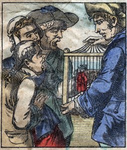 Lemuel Gulliver, in einem Käfig, wird den Riesen von Brobdingnag gezeigt. Illustration für „Gullivers Reisen“ von Jonathan Swift (1667-1745). Epinal Imaging Ende des 19. Jahrhunderts.