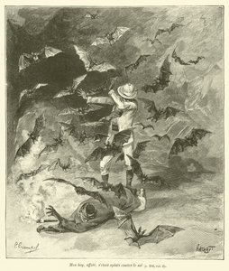 Die Höhlen von Tham-Tai (Gravur) von French School