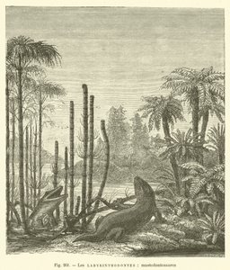 Die Labyrinthodonten, Mastodontosaurier von French School