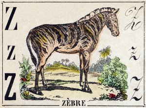 Buchstabe Z Zebra. Gravur in "Alphabet der wilden Tiere". 9. Serie. Bildersammlung von Epinal, Pellerin, Drucker-Verleger, um 1870 von French School