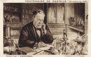 Louis Pasteur von French School