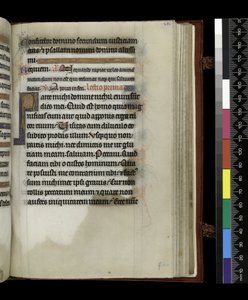 MS 300 f.251r, aus dem Psalter und Stundenbuch der Isabella von Frankreich, Paris, ca. 1265-70 von French School