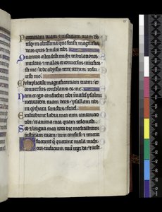 aus dem Psalter und Stundenbuch von Isabella von Frankreich, Paris, ca. 1265-70 von French School