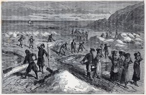 Salzgärten der Bretagne im 19. Jahrhundert - Kupferstich in „Wissenschaften für alle - Physik und Chemie“ von Alexis Clerc - Spätes 19. Jahrhundert - Private Sammlung
