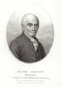 Michel Adanson von French School