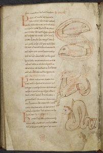 Verschiedenes zu Computus und Astronomie, Royal MS 13 A XI