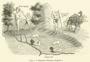 Monokel, Blemmys, Sciopoden (Gravur) von French School