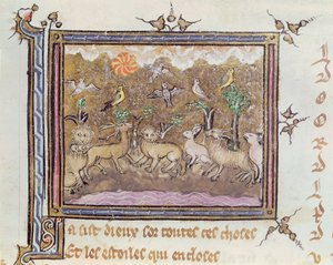 Ms 1044 fol.18 Die Erschaffung der Tiere, aus Ovide Moralise geschrieben von Chretien Legouais von French School