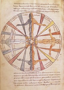 Ms 422 fol.6v Rad der Jahreszeiten und Monate, aus De Natura Rerum von St. Isidor von Sevilla von French School