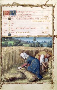 Ms 438 Der Monat Juli: Getreideernte, aus einem Stundenbuch, 1490
