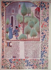 Ms 5064 fol.105r Bäume pflanzen, aus Livre des Prouffitz Champestres von Pietro de Crescenzi (1230-132021)